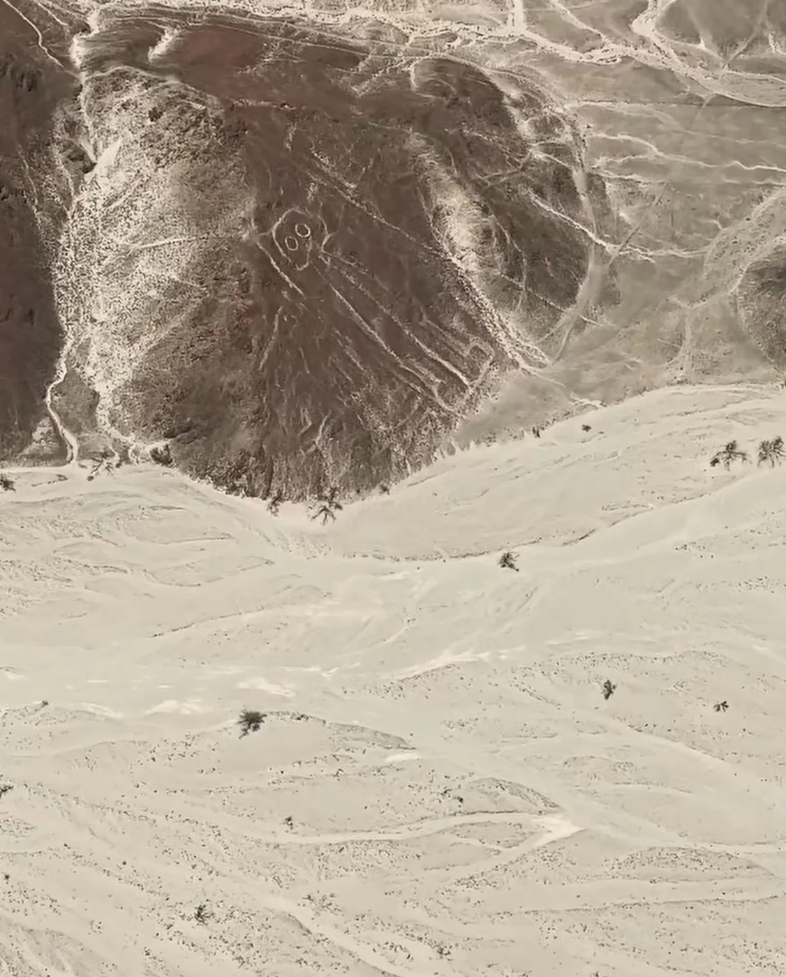 Aerial view of a Nazca geoglyph